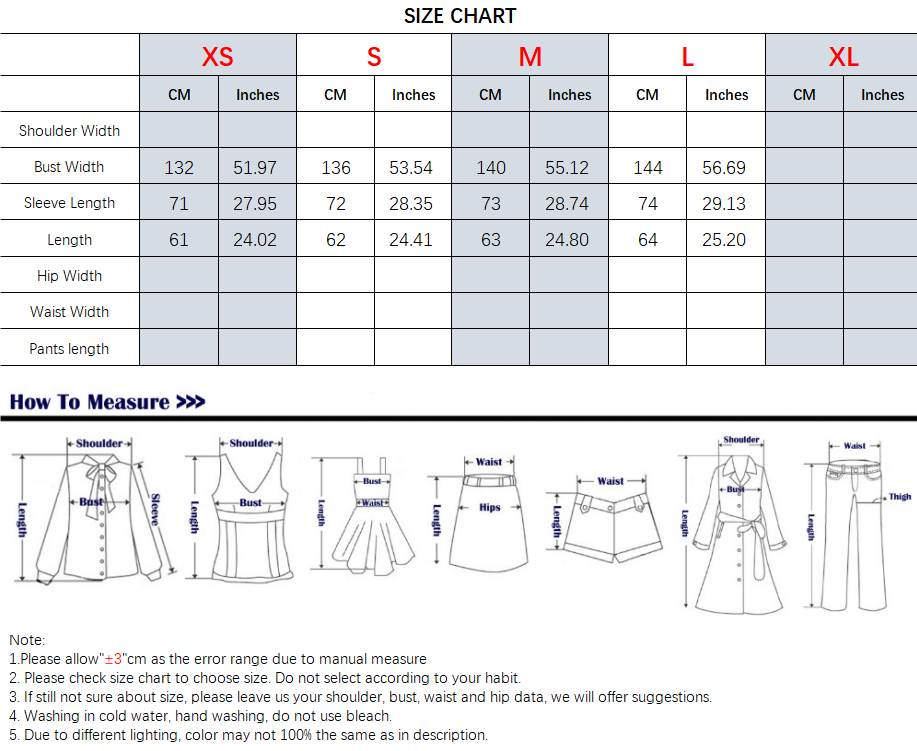 Women's pleated decorative lantern sleeve shirt